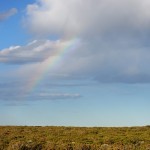rainbow2