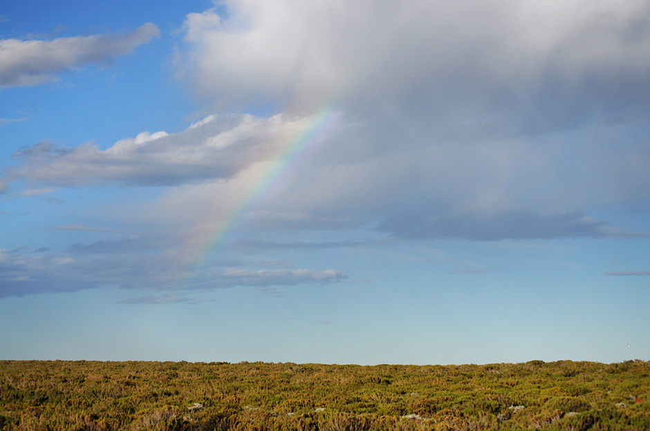 rainbow2