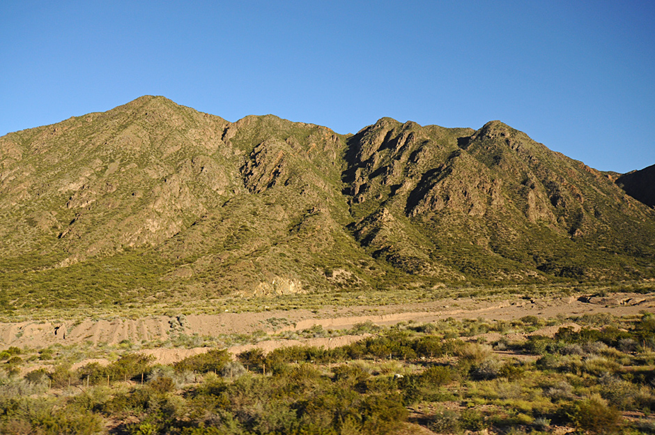 Verde