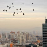 08_Santiago