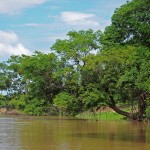 Rurrenabaque, Bolivia