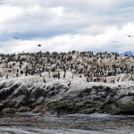 Tierra del Fuego - Feuerland, Argentina