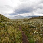 Tierra del Fuego - Feuerland, Argentina