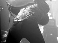 Miles Kane Miles Kane